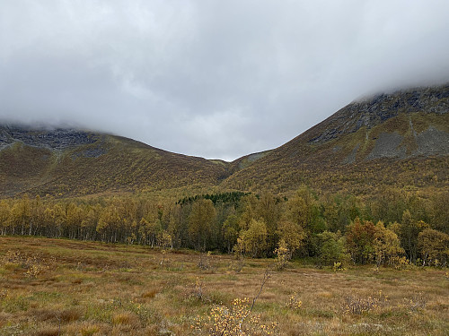 Bilde #1: Langt inne i Seljebotnen. Her skal først inn i skogen, så krysse elva, og deretter ta oss opp fjellsida i bakgrunnen. Hengedalen vi skal opp i heter Uriskarbotnen.