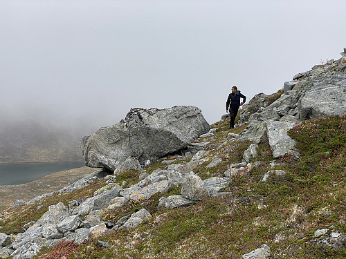 Bilde #4: På vei opp vestryggen på Seljebottstinden. Uriskarbottsvatnet i bakgrunnen.