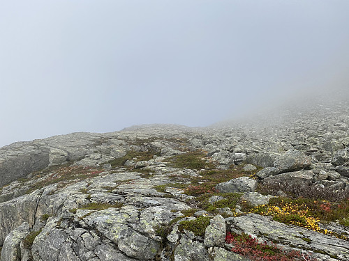 Bilde #5: Oppe i skydekket var det noe vrient å stake ut kursen,...