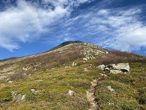Bilde #4: Vi er ute av skogen, og ser oppover fjellryggen videre opp på Ormula.