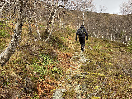 Bilde #1: På vei opp stien mellom Klovset og Klovfjellet, som egentlig bare er en slags knaus på Berdalsnibba.