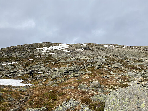 Bilde #6: Vi nærmer oss toppen på Berdalsnibba [1344 m.o.h.].