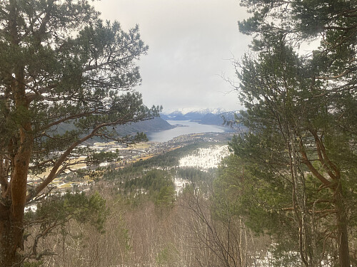 Bilde #2: Utsikt fra Litleaksla utover mot Isfjorden, fra en knaus / et utsiktspunkt omkring 385 m.o.h.