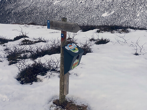 Bilde #8: Ved "postkassa" på toppen. Det finnes fortsatt et og annet fjell som ikke har en varde på toppen...