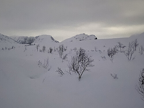Bilde #4: Toppene kommer tilsyne igjen over bakkekammen. Høgseternebba [1241] til venstre, og Husnebba [798/808 m.o.h.] omtrent midt i bildet.