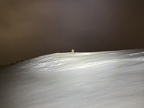 Bilde #6: På vei oppover mot vesttoppen [798 m.o.h.], med et lite grantre i sikte.