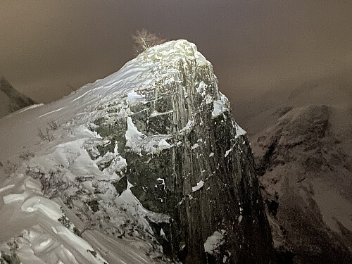 Bilde #8: Vesttoppen på Husnebba [798 m.o.h.].