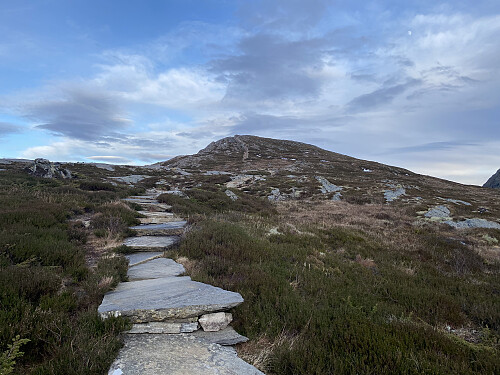 Bilde #5: Det siste stykket opp mot toppen av Digergubben [527 m.o.h.]. Fin sti, som er hellelagt der det er myrlendt.