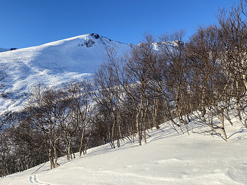 Bilde #7: Utsikt over til Galtåtinden [1124] og Loftskartinden [1190 m.o.h.] på andre sida av dalen.