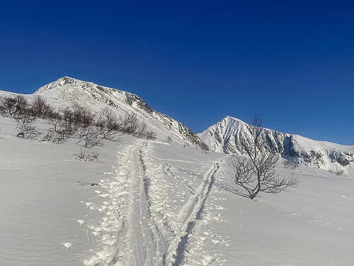 Bilde #8: Søre Klauva [1356] og Kyrkjetaket [1439 m.o.h.]. Denne dagen hadde jeg imidlertid kun tenkt meg opp på Skarven, utenfor venstre billedkant.