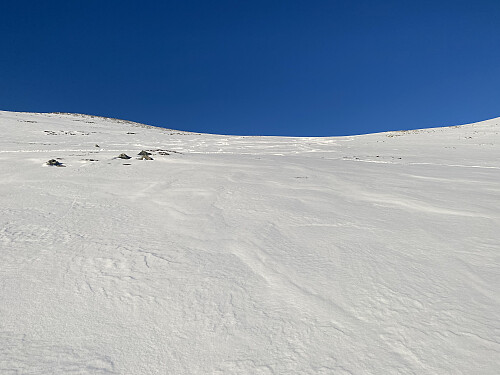 Bilde #9: Snart oppe i sadelen mellom Skarven og Søre Klauva.