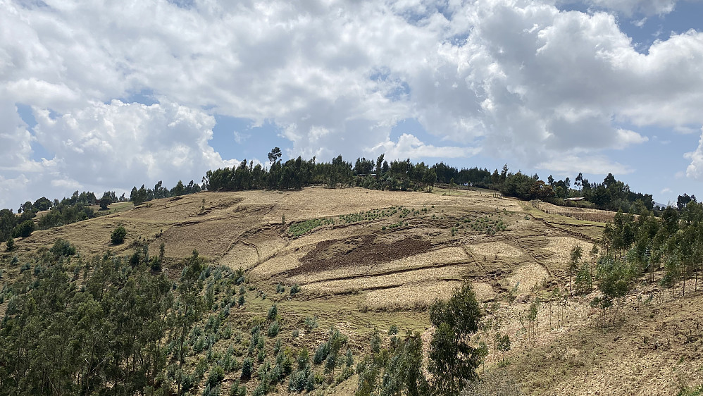 Image #4: The summit of Mount Jemo [2927 m.a.m.s.l.], with agricultural fields in the foreground.