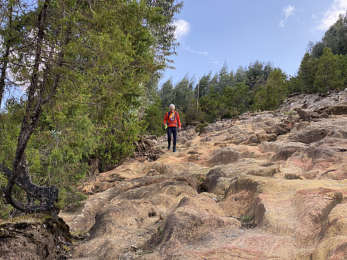 Image #18: A rather steep part of the trail back down.