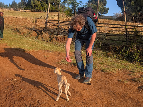 Image #19: A cute little lamb that we came across on our way back down.