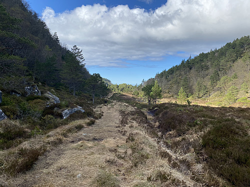 Bilde #4: Et myrlendt område rett etter den trangeste delen av skaret. Her tok jeg til høyre, og fortsatte opp gjennom skogen i retning Skiftingsvarden [392 m.o.h.].