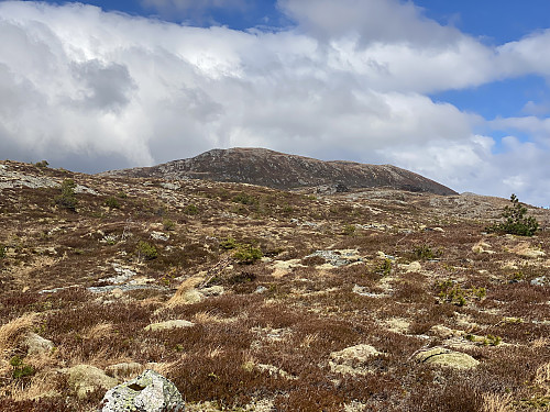 Bilde #9: Snart oppe på Skiftingsvarden [392 m.o.h.], med utsikt rett bort på Skåla [607 m.o.h.].
