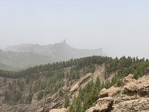 Bilde #5: Jeg får øye på monolitten Roque Nublo [1814 m.o.h.] et stykke unna.