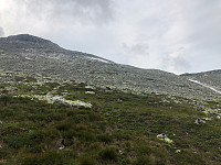 Avinus1_20210717_60f33761c9e95.jpg
