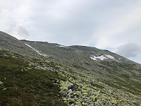 Avinus1_20210717_60f33762754c8.jpg
