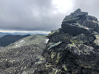 Avinus1_20210717_60f33763b5a0e.jpg