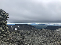 Avinus1_20210717_60f33764f06a3.jpg
