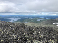 Avinus1_20210717_60f3376766c96.jpg