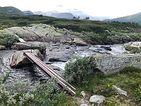 Avinus1_20210717_60f33769591a1.jpg