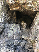 Avinus1_20210724_60fc220df156c.jpg