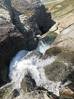 Avinus1_20210724_60fc220f6592c.jpg