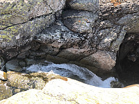 Avinus1_20210724_60fc2210b463d.jpg