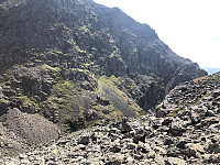 Avinus1_20210724_60fc2212b7f25.jpg
