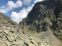 Avinus1_20210724_60fc221370c72.jpg