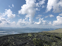 Avinus1_20210724_60fc2216b5ba1.jpg