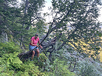 Avinus1_20210822_612290eb2dff6.jpg