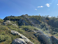 Avinus1_20210822_612290ed20aea.jpg