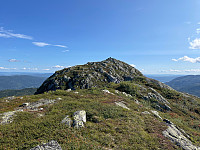Avinus1_20210822_612290eedafa8.jpg