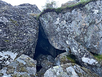 Avinus1_20210822_612290fa0ee50.jpg