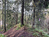 Avinus1_20211002_615864f1497fb.jpg