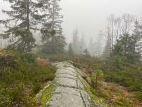 Avinus1_20211010_616304d23b4d9.jpg