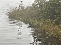 Avinus1_20211010_616304d39da89.jpg