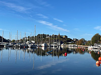 Avinus1_20211017_616bf863c05a5.jpg