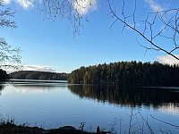Avinus1_20211031_617eae5a15b0e.jpg