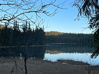 Avinus1_20211104_618426ed734fb.jpg