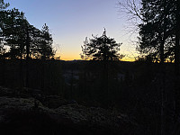 Avinus1_20211104_618426f164ab4.jpg