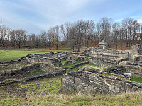 Avinus1_20211106_61869f684a1e5.jpg