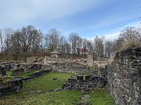 Avinus1_20211106_61869f6909523.jpg