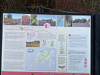 Avinus1_20211106_61869f6b994d6.jpg