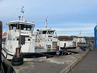 Avinus1_20211106_61869f6c4b9d3.jpg
