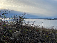Avinus1_20211106_61869f7257846.jpg