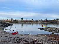 Avinus1_20211106_61869f72f3627.jpg